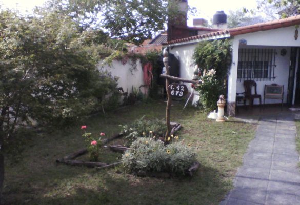 IMG00537.jpg
