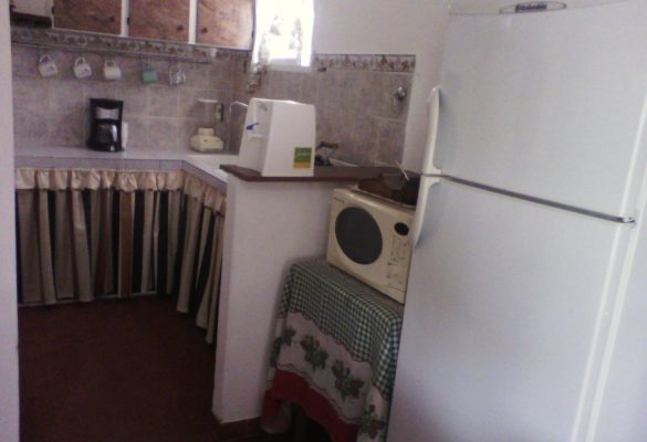 IMG00541.jpg