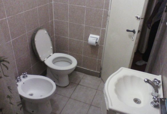 IMG00547.jpg